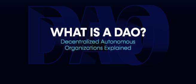 What are DAOs: Everything You Need to Know About Decentralized Autonomous Organizations