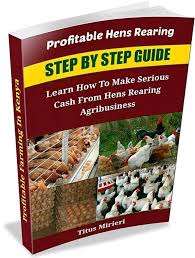 Profitable Hens Rearing Guide