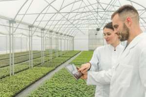 Agricultural Science – Gardening, Animal Farming and Aquaculture