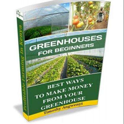 Green House For Beginners