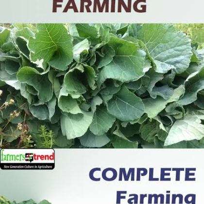 Kales Farming Complete Guide