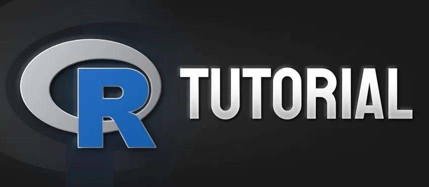 R Tutorial & Roadmap| Master R Programming with Ease