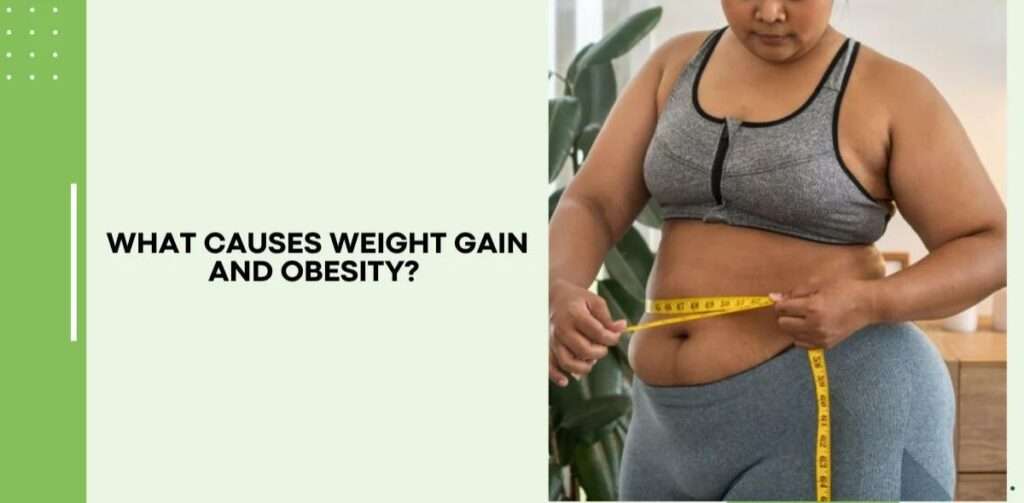 10 Leading Causes of Weight Gain and Obesity (And How to Avoid Them)