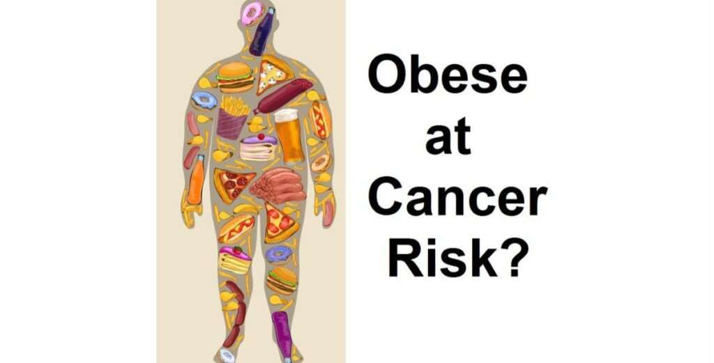 How Obesity Increases Your Chances of Developing Cancer